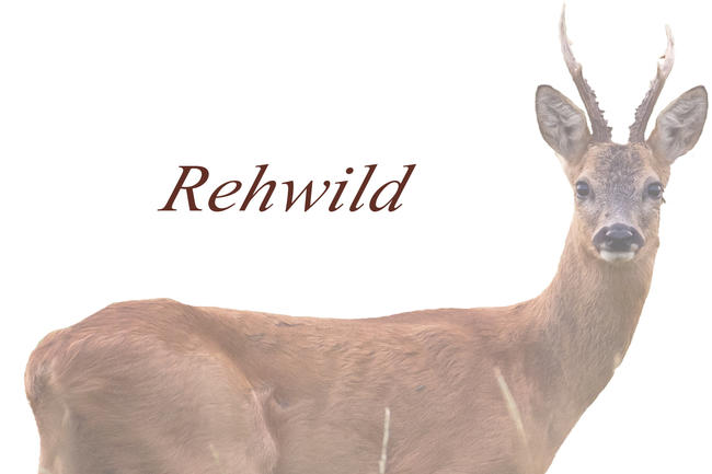 Logo Rehwild