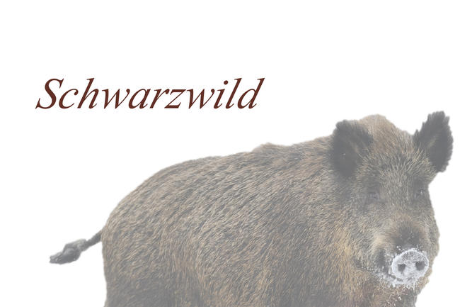 Logo Schwarzwild