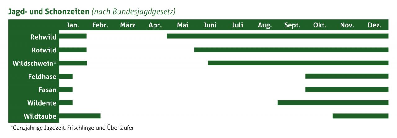 In welchen Monaten können Sie welches Wildbret frisch kaufen? (Quelle: DJV)