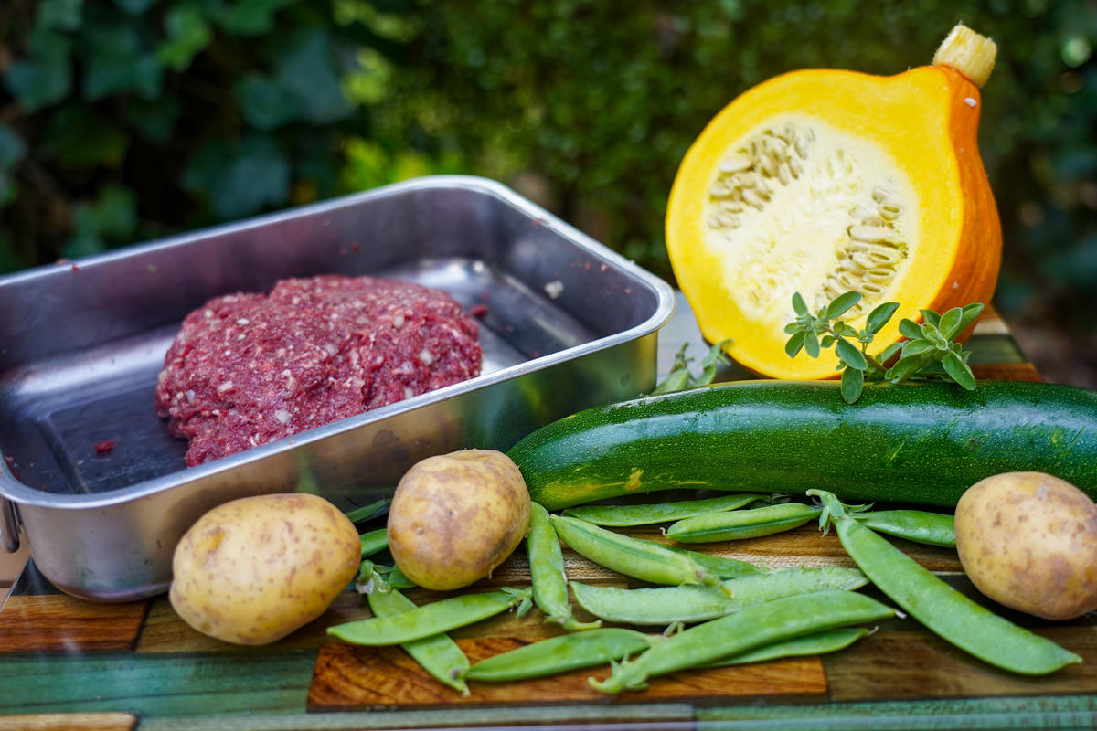 Die Hauptzutaten für das Gericht: Reh-Hack, Kürbis, Zucchini, Schoten und Kartoffeln.  (Quelle: Kapuhs/DJV)