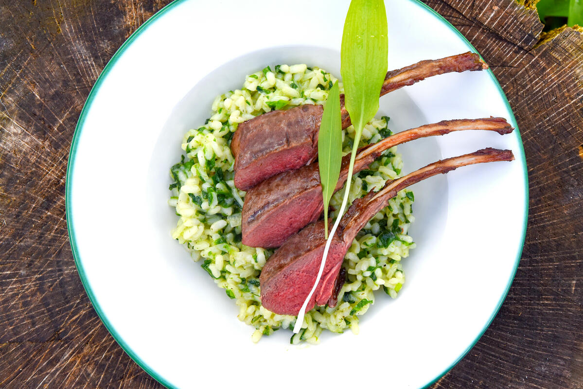 Gegrilltes Rehkarree mit Bärlauch-Risotto | Deutscher Jagdverband