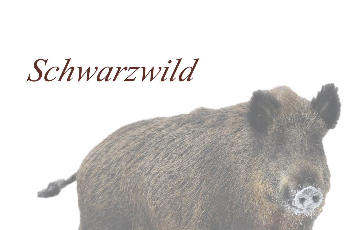 Wildschweinlende auf gebratenen Waldpilzen mit Steinpilzcarpaccio ...